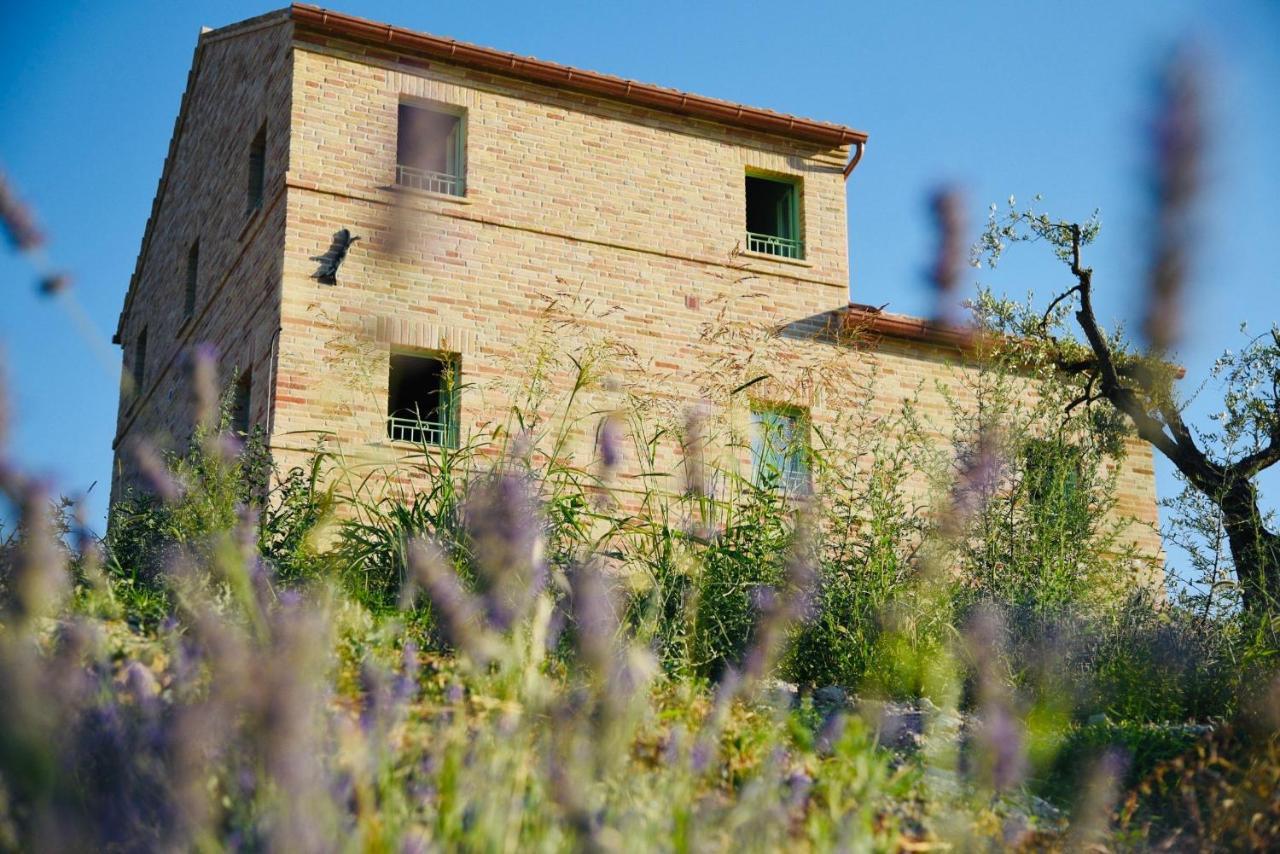 Il Casale Dei Nonni Apartman Grottazzolina Kültér fotó